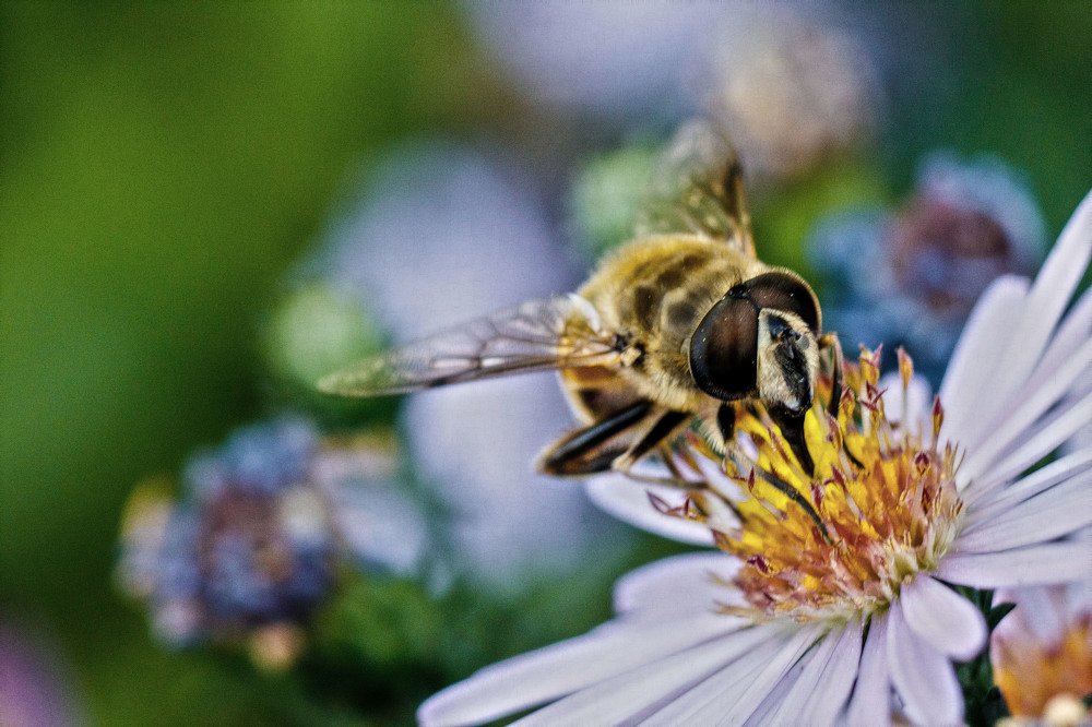 Photograph by Александр Стрельченко