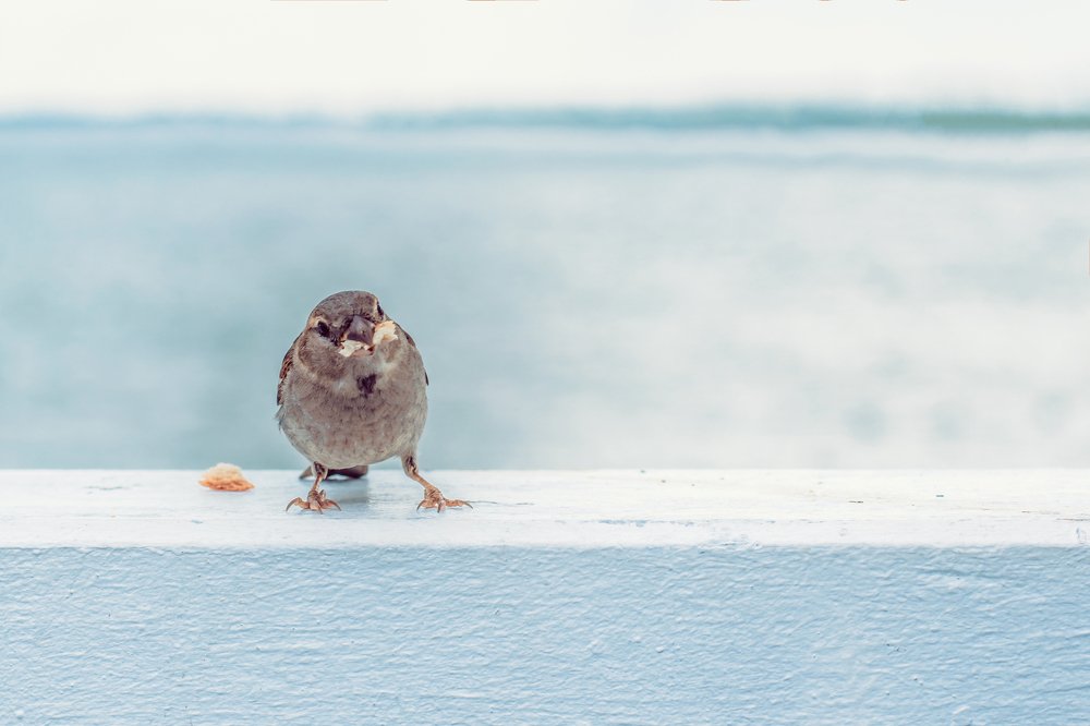 Photograph by Татьяна Мельник