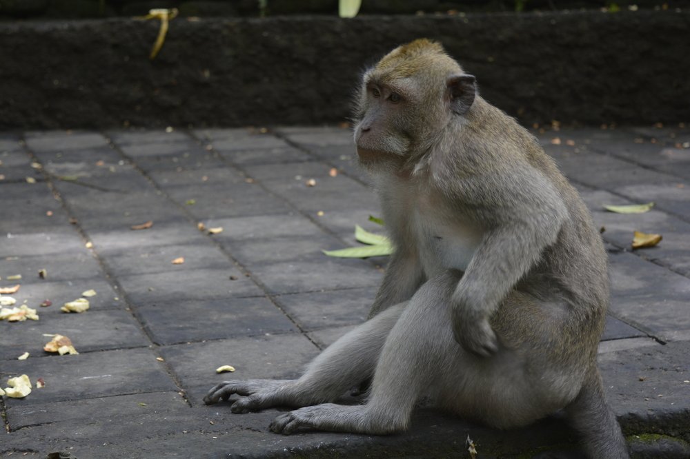 Photograph by Roozbeh Rahiminejat