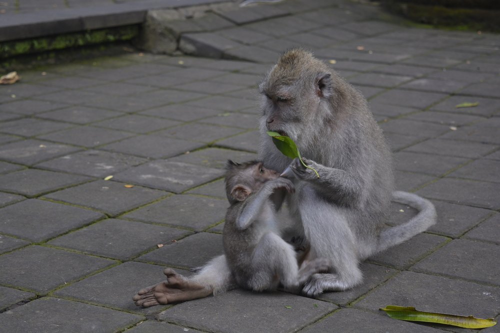 Photograph by Roozbeh Rahiminejat