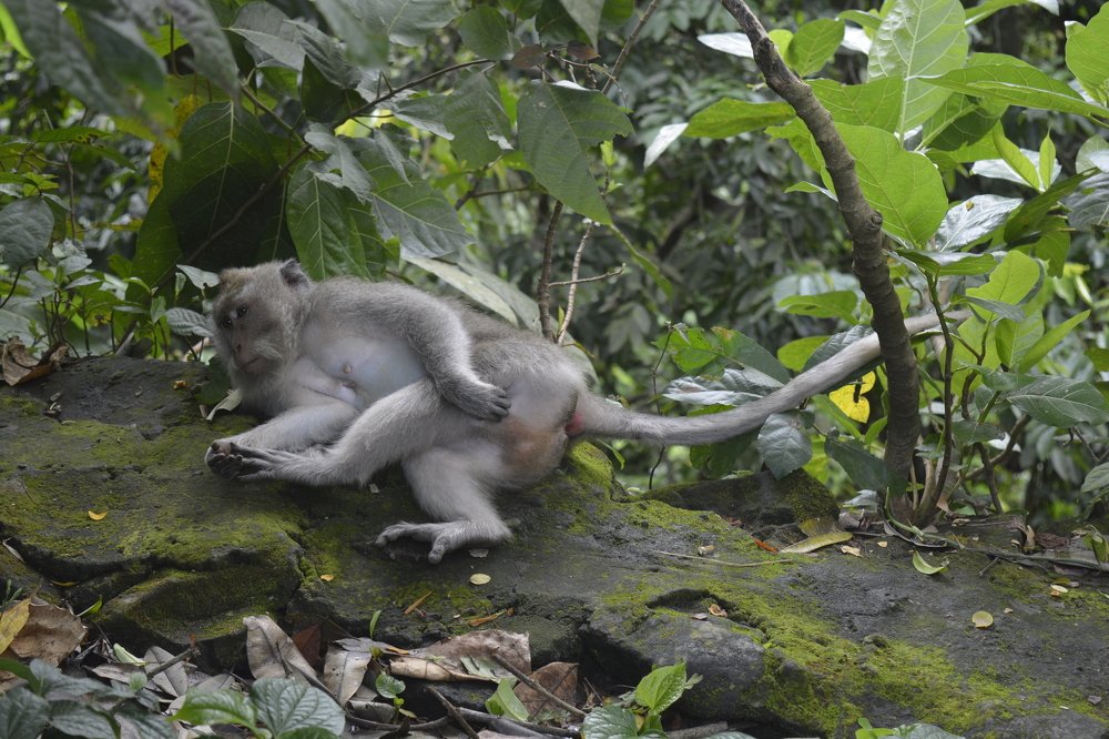 Photograph by Roozbeh Rahiminejat