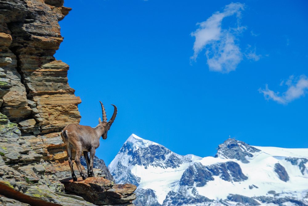 Photograph by Наталия Мостовая