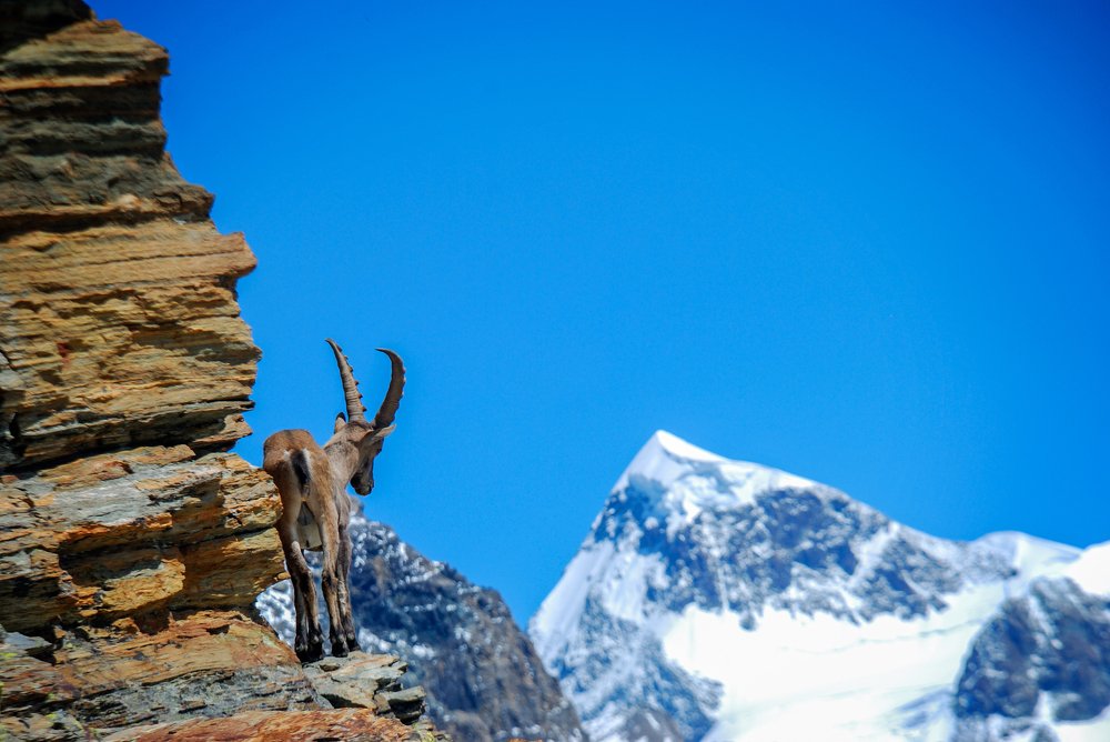 Photograph by Наталия Мостовая