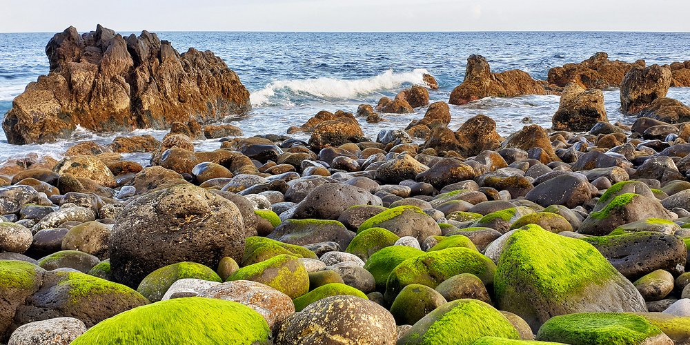 Время отлива...