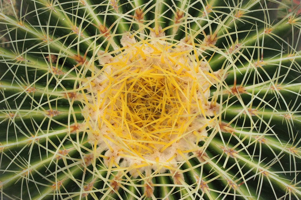 Photograph by Anastasia Kodatenko