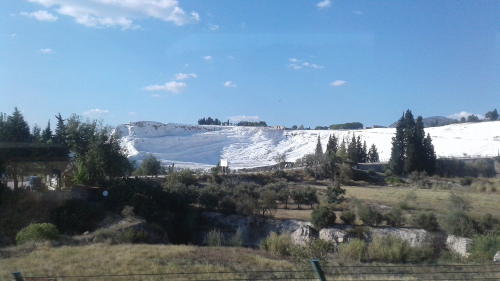 Photo #4023232