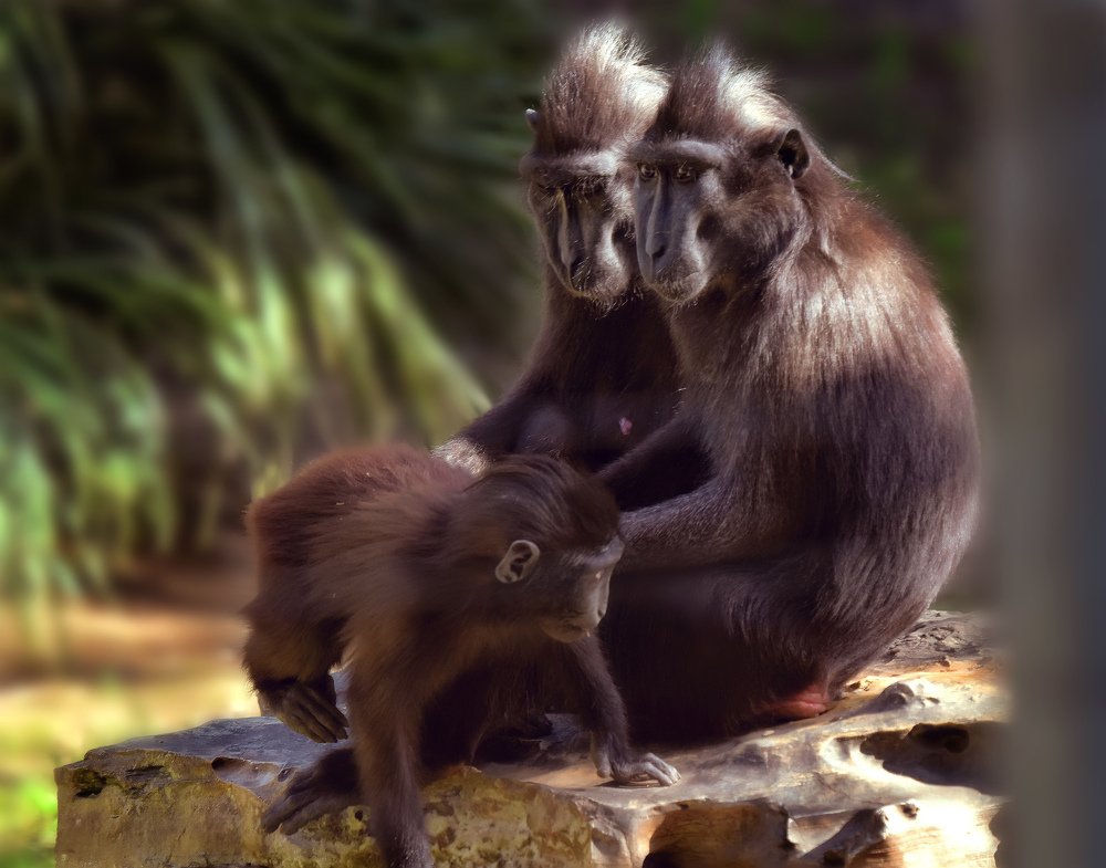 Photograph by Александр Бен Сандлер