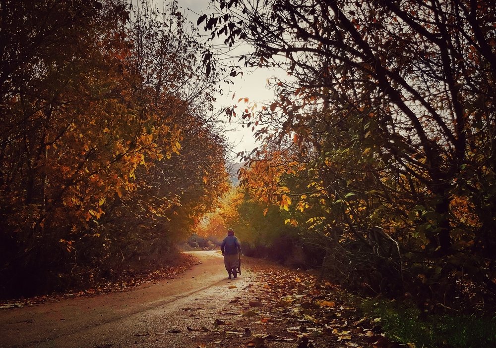 Photograph by Yahya Kakapour