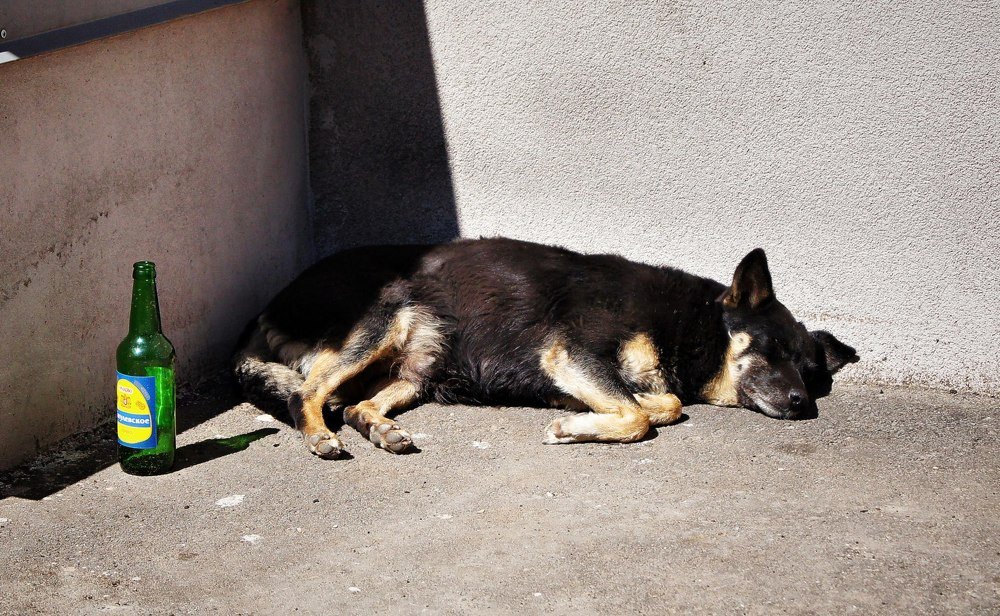 Photograph by Владимир Салапонов