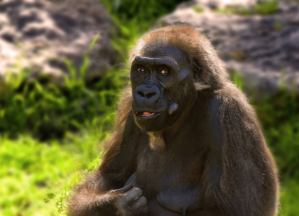 Photograph by Александр Бен Сандлер