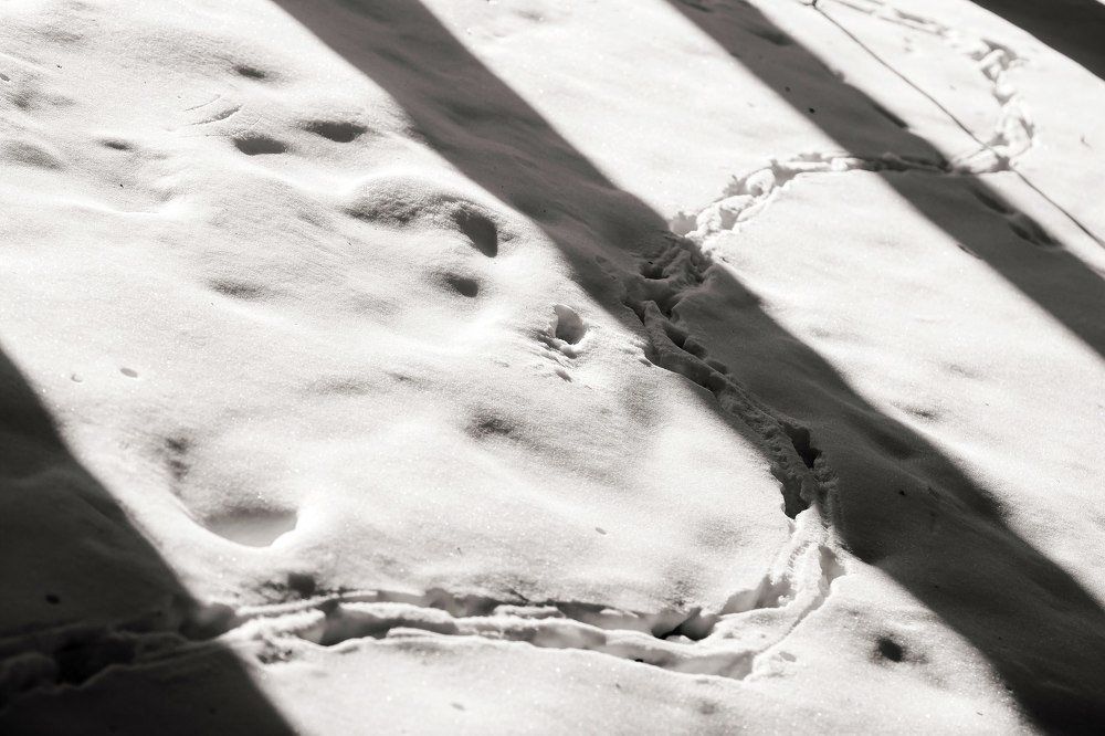 Photograph by Владимир Салапонов