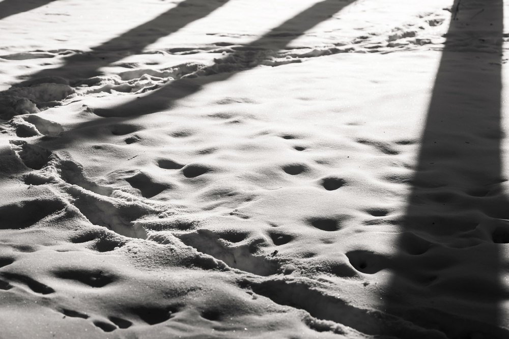 Photograph by Владимир Салапонов