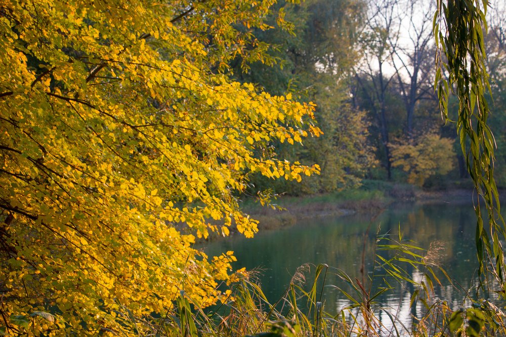 Photograph by Максим Буц