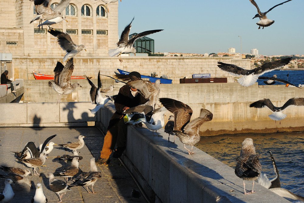Photograph by ЛЮДМИЛА Ружило