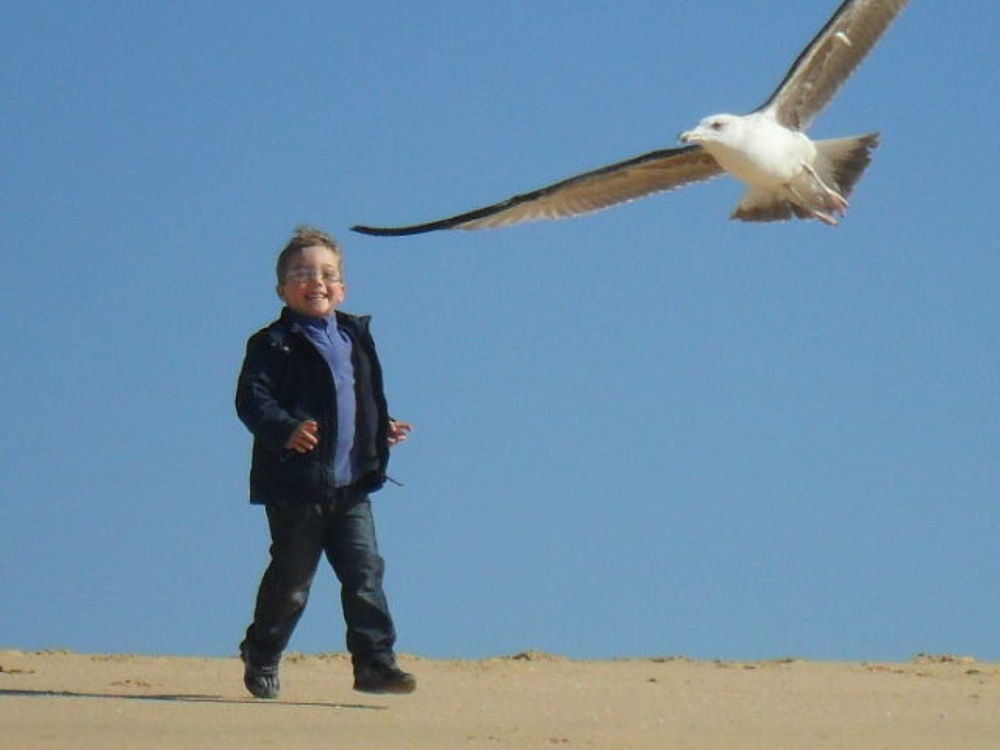 Photograph by ЛЮДМИЛА Ружило