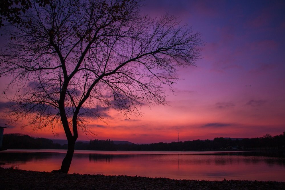 Сонливость