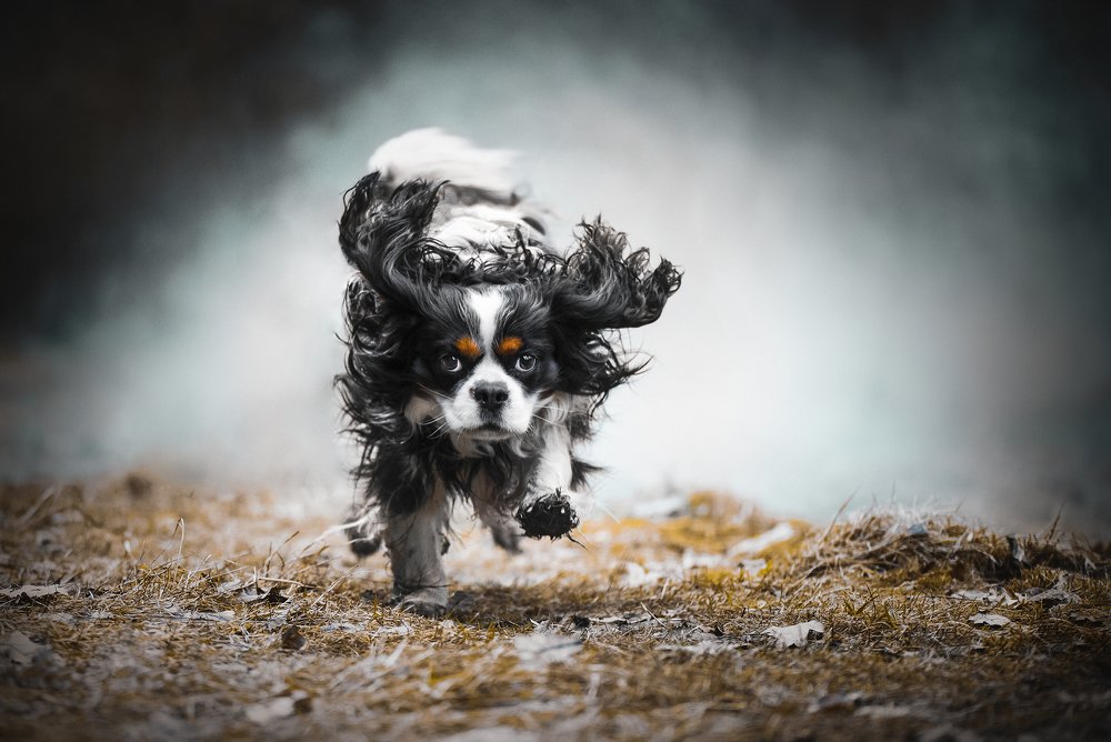 Photograph by Alena Trojanovičová