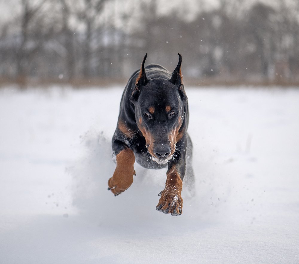 Photograph by Елена Осколкова