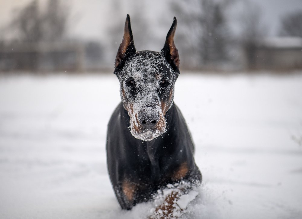 Photograph by Елена Осколкова