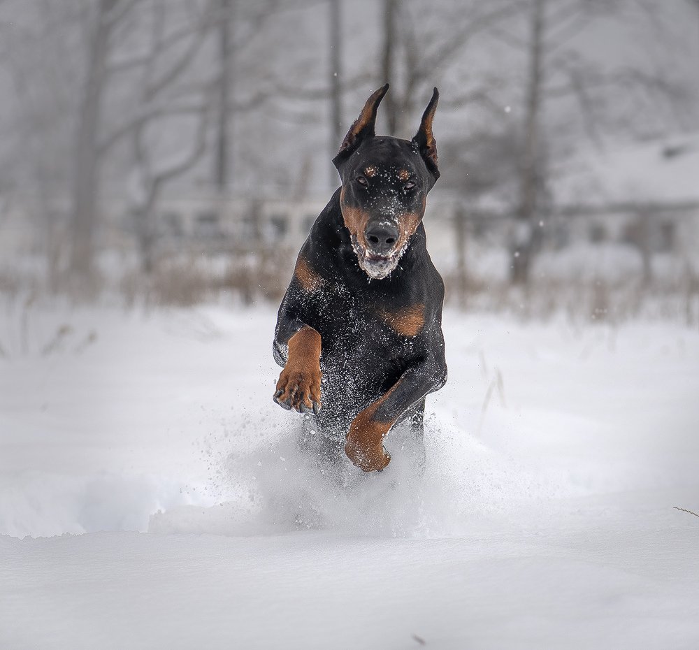 Photograph by Елена Осколкова