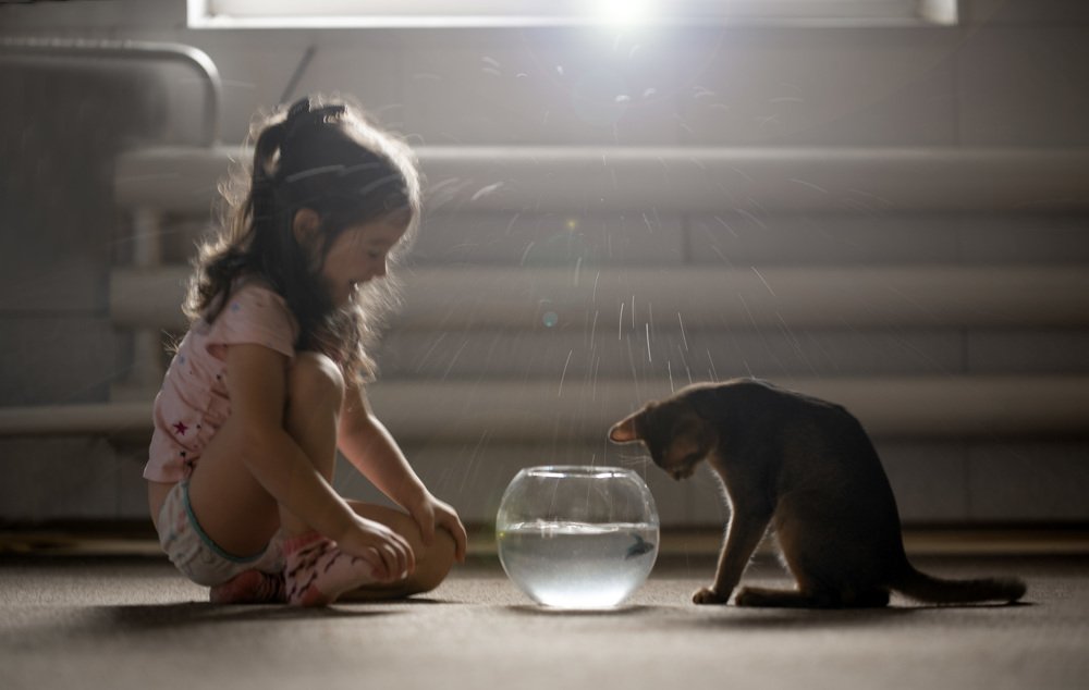 Photograph by Елена Осколкова