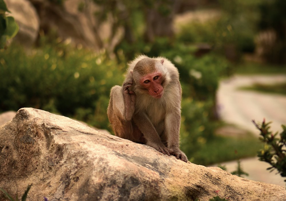 Photograph by Елена Осколкова