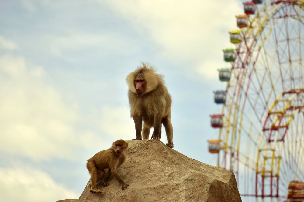 Photograph by Елена Осколкова