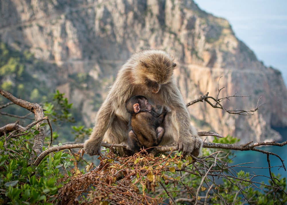 Photograph by Youcef Guellal