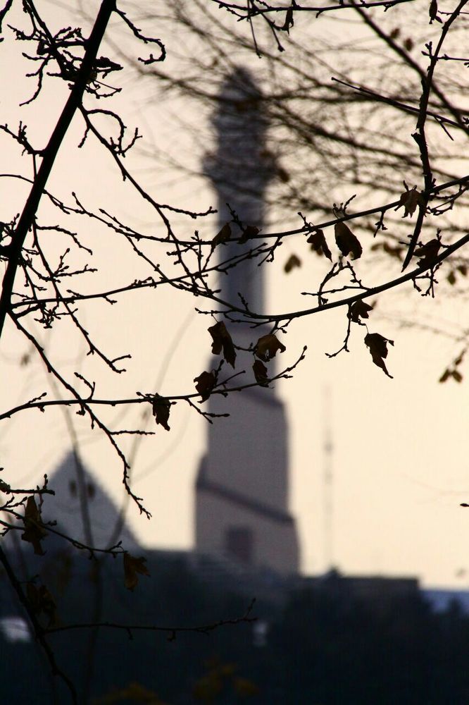 Фотография автора Mansoor Heydaryan