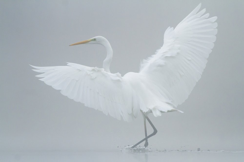 Photograph by Flora Jakab