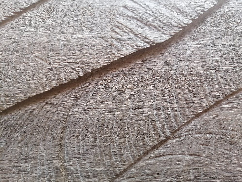 Photograph by  Honest