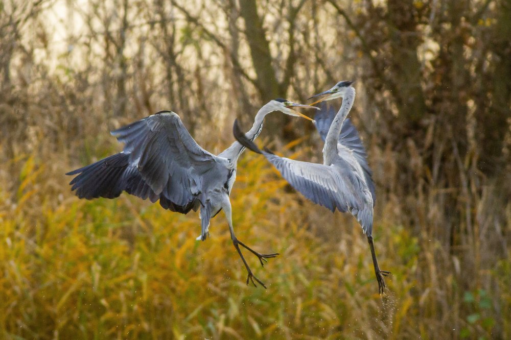 Photograph by Flora Jakab