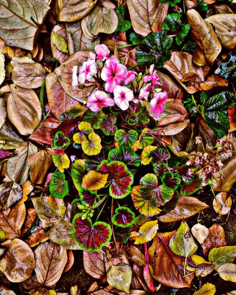 Фотография автора Mansoor Heydaryan