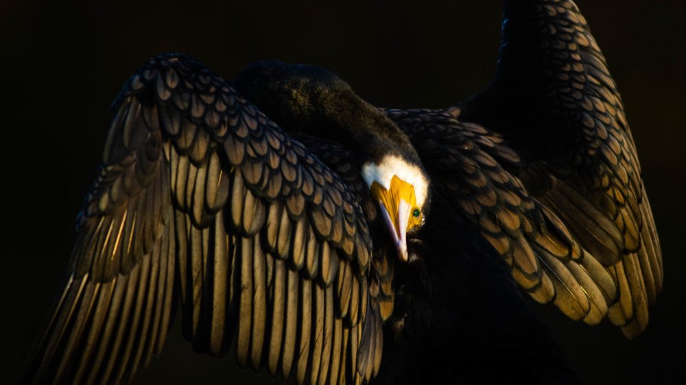 Photograph by Flora Jakab