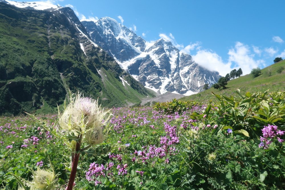 Photograph by Kate Cai