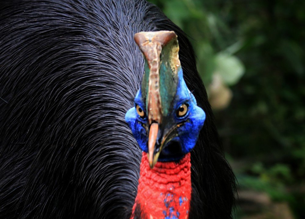 Photograph by  Edi Hidayat