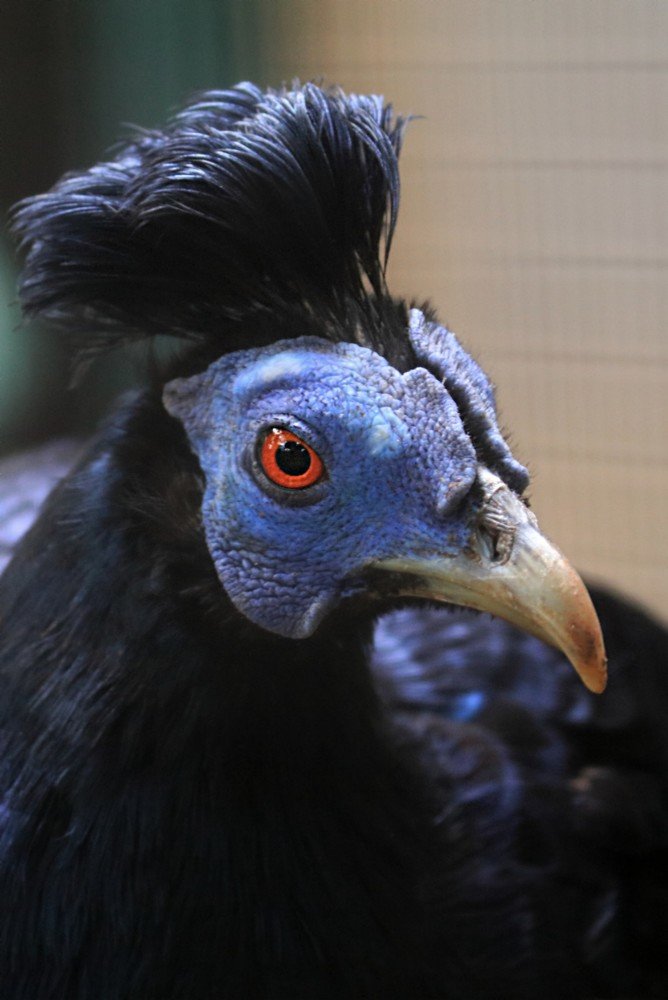 Photograph by  Edi Hidayat