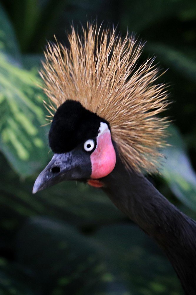 Photograph by  Edi Hidayat