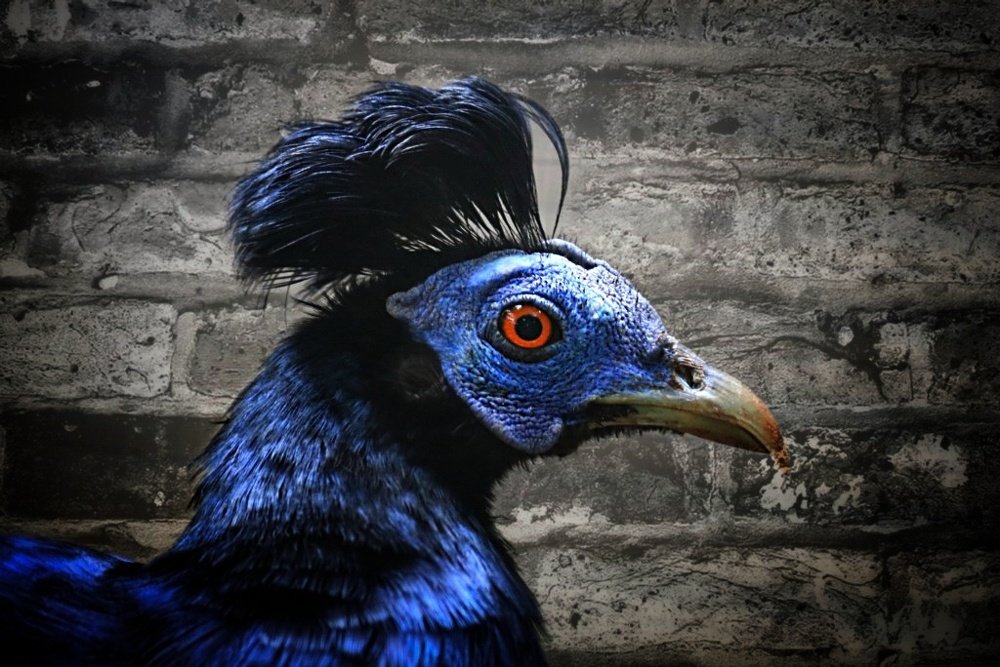 Photograph by  Edi Hidayat