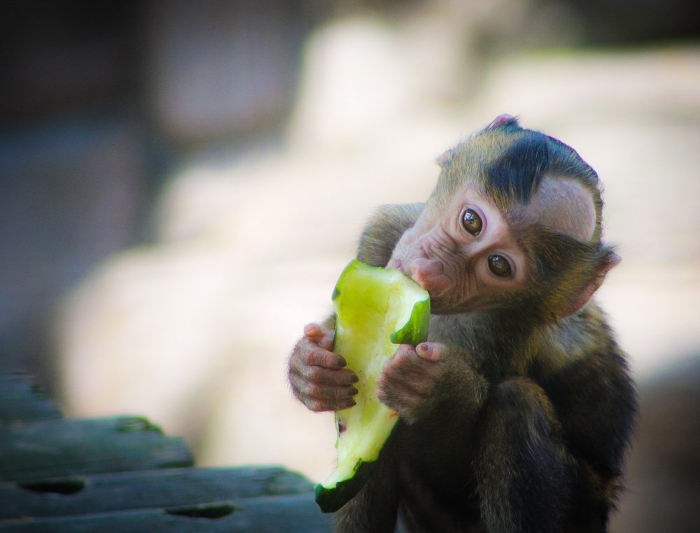 Photograph by Stephen