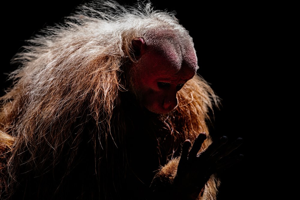 Photograph by Claudio Frateschi