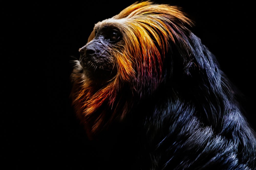 Photograph by Claudio Frateschi