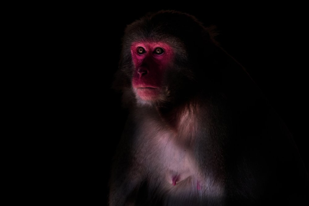 Photograph by Claudio Frateschi