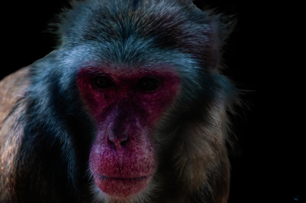 Photograph by Claudio Frateschi