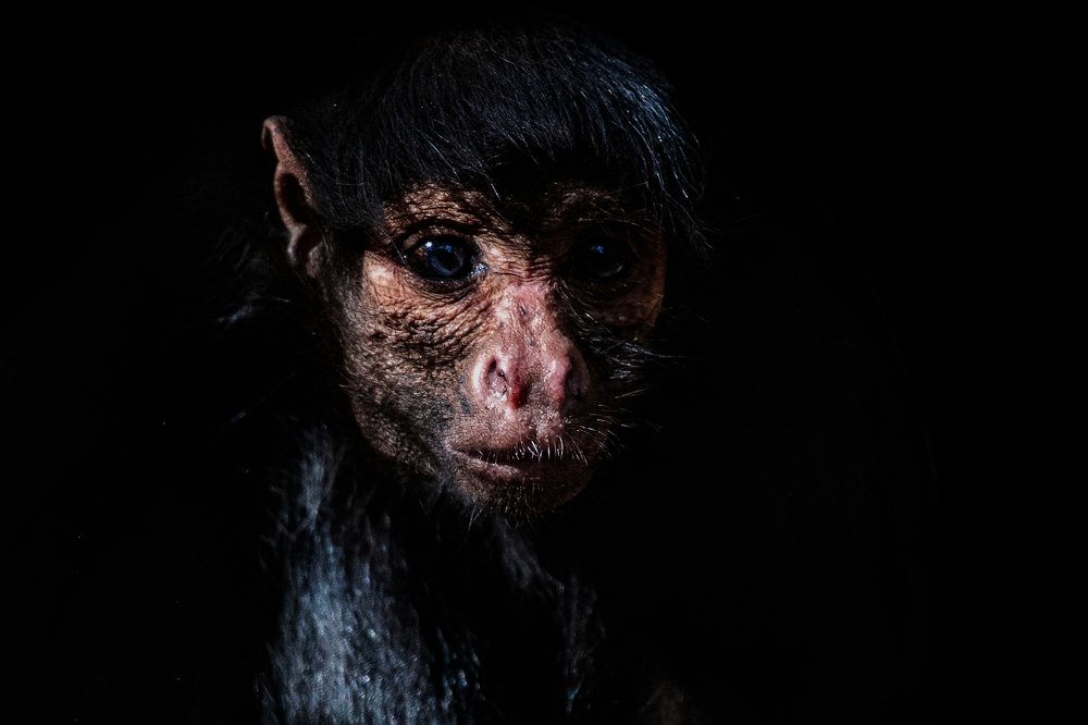 Photograph by Claudio Frateschi