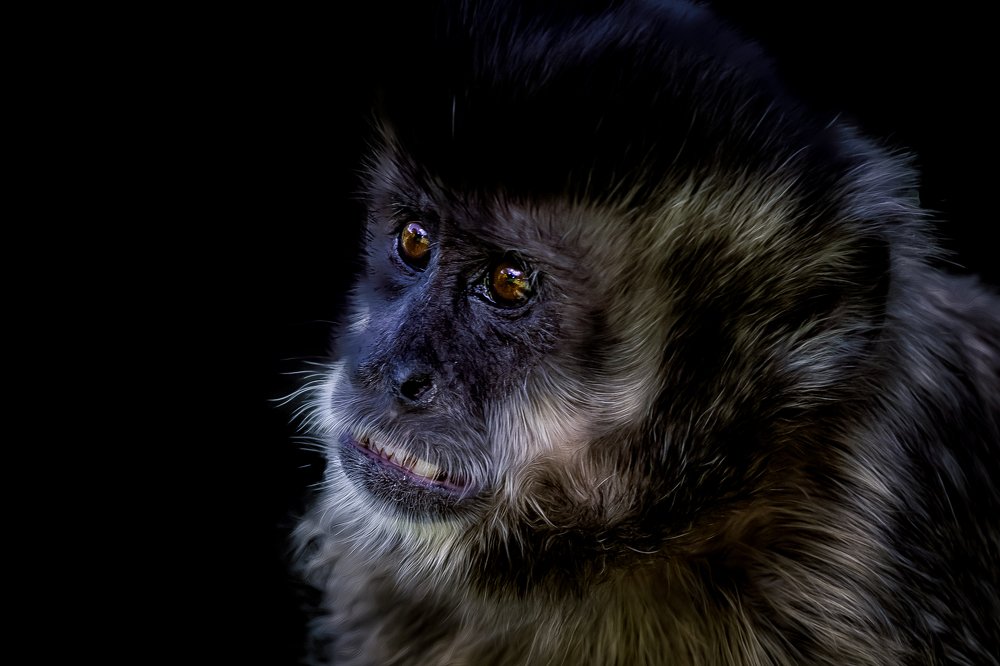 Photograph by Claudio Frateschi