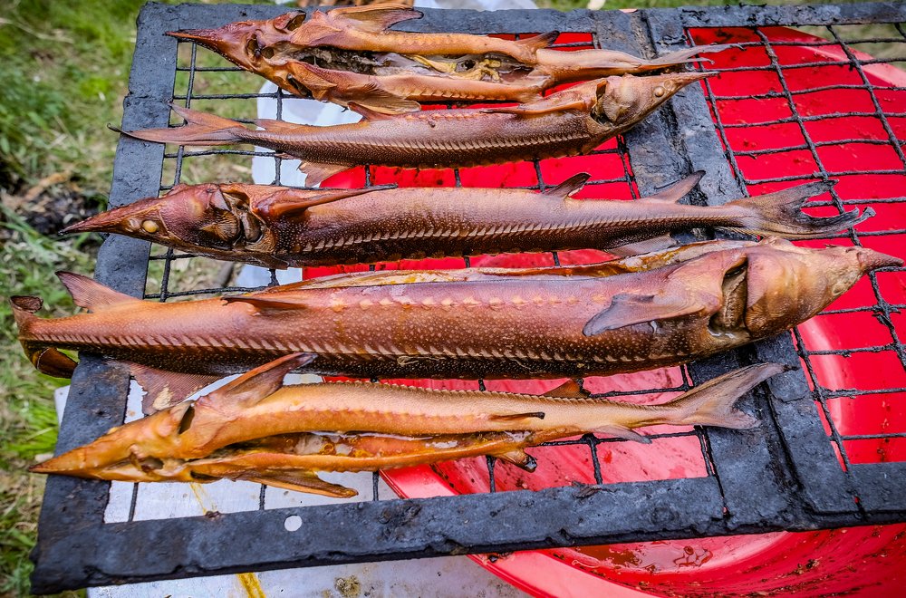 Photograph by Андрей Чернышов