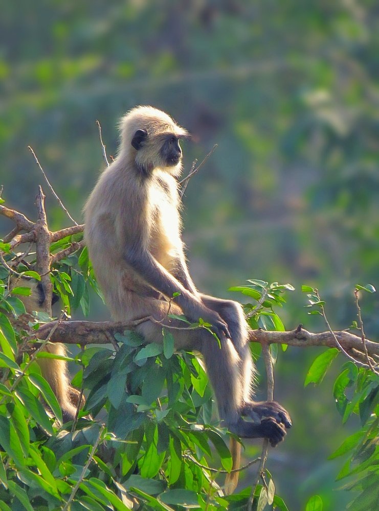 Feel The Sunshine In A Winter Morning