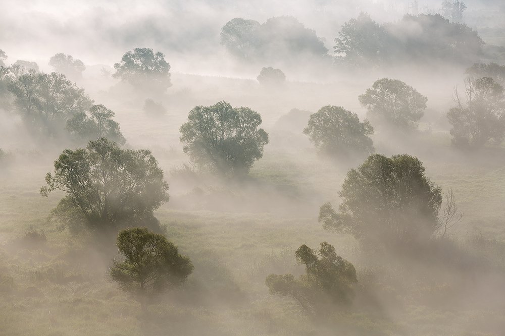 Фотография автора Юрий Сорокин