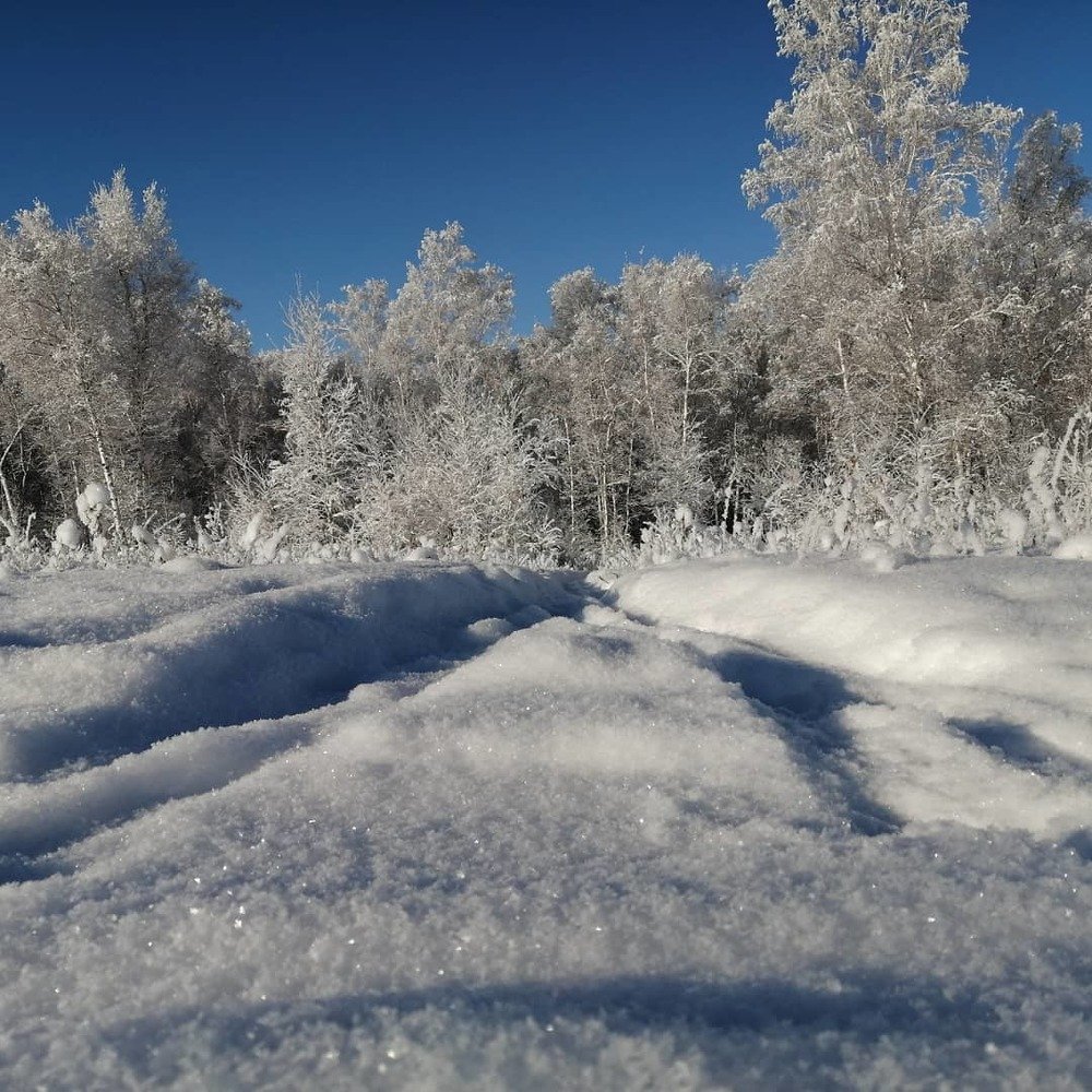 Photograph by Алексей Житников
